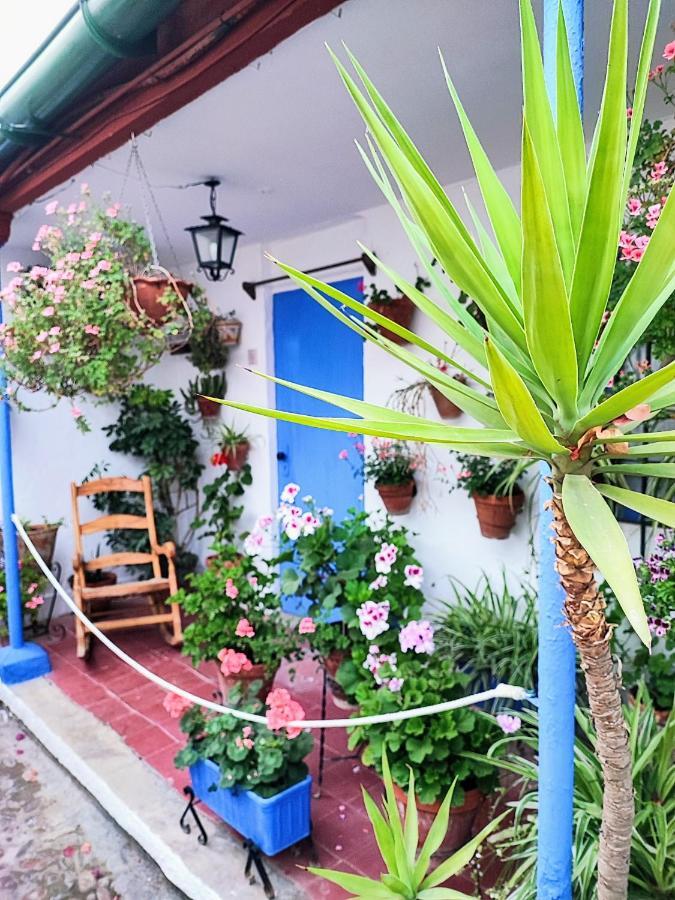 קורדובה Apartamento Alcazar San Basilio מראה חיצוני תמונה