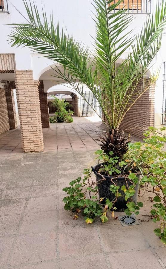 קורדובה Apartamento Alcazar San Basilio מראה חיצוני תמונה